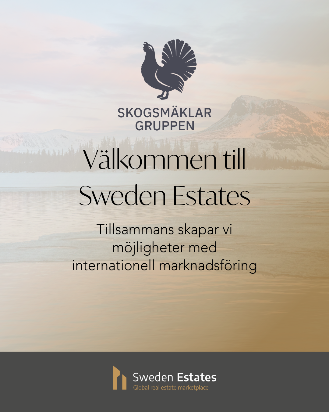 Sweden Estates Skogsmaklar gruppen