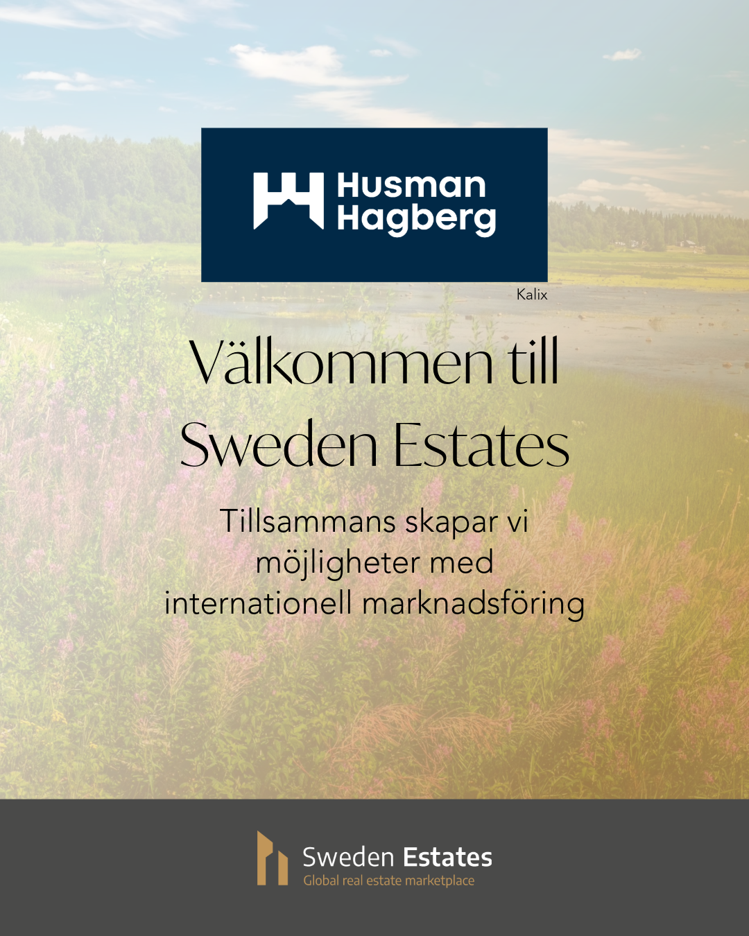 Sweden Estates Sociala medier 11