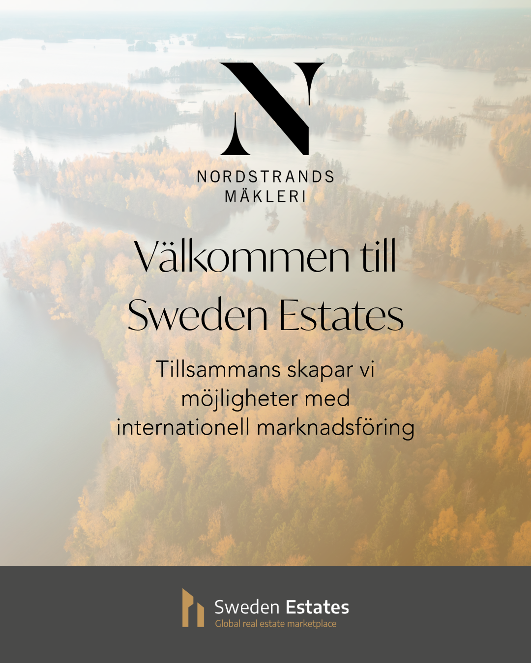 Sweden Estates Sociala medier 8