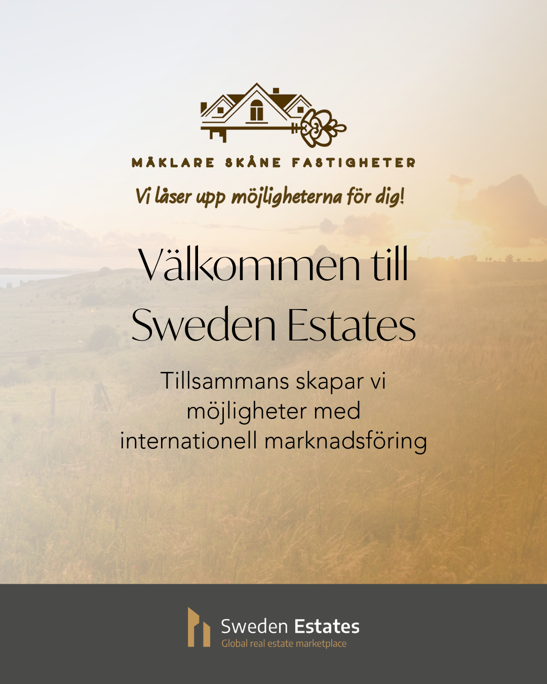 Sweden Estates Sociala medier 9